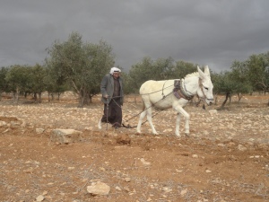 Mohammed ~ Um Al Kher ~ South Hebron Hills Photo Credit: Jan